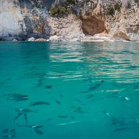 Conghiglia Nord Apartment Cala Gonone Bagian luar foto